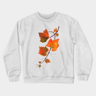 orange grapevine watercolor Crewneck Sweatshirt